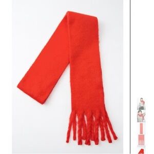 Zara Long Fringed Scarf